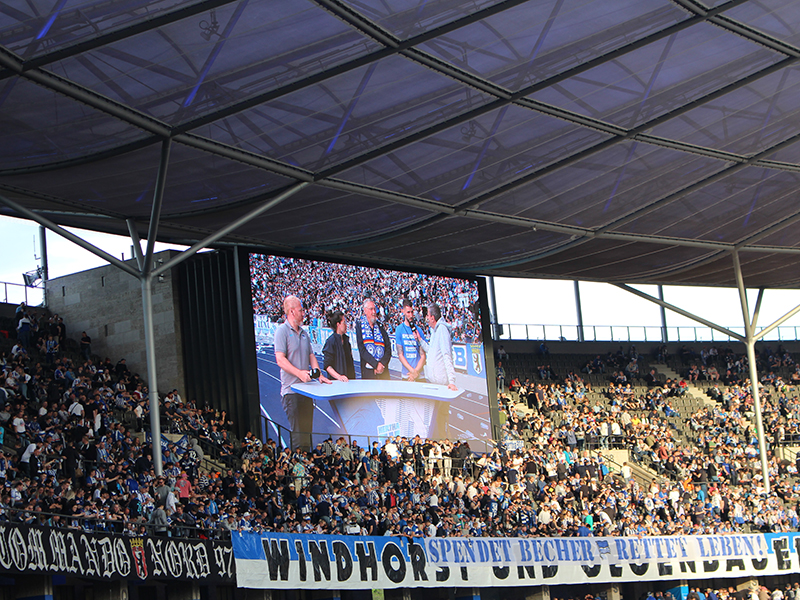 Herzlichen Dank Hertha BSC und Harlekins Berlin ´98 für die tolle Spendenaktion